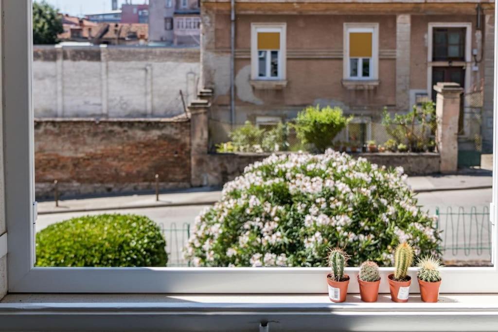 Quirky Apartment Arena With Parking Pula Extérieur photo